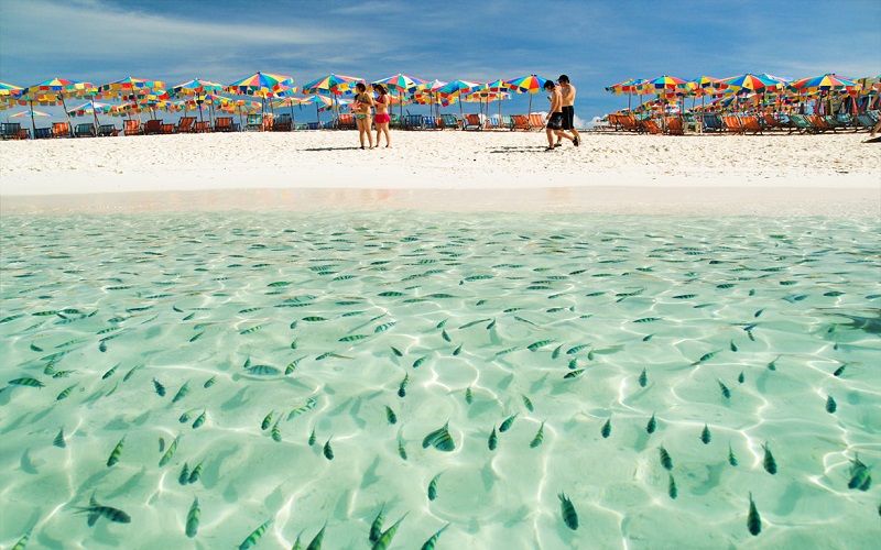 Khai Nok Island, Khai Nai Island, Khai Nui Island - Phuket