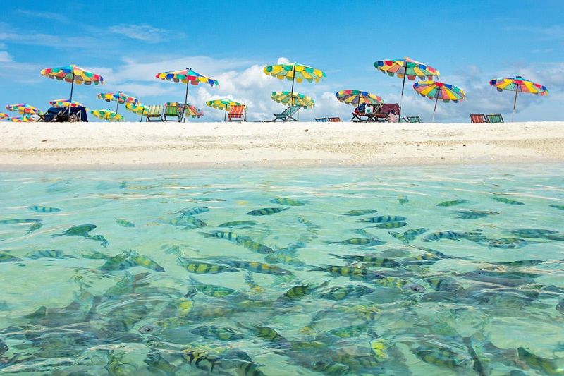 Phi Phi Island tours