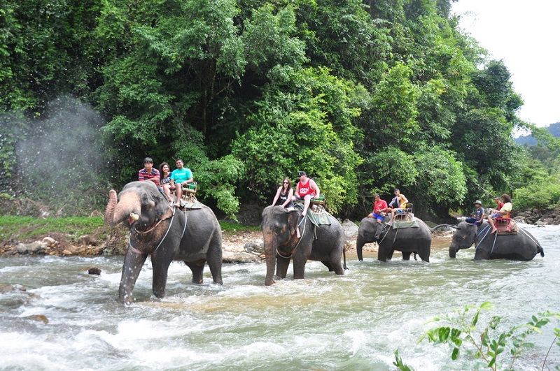 Phuket White Water Rafting Tours