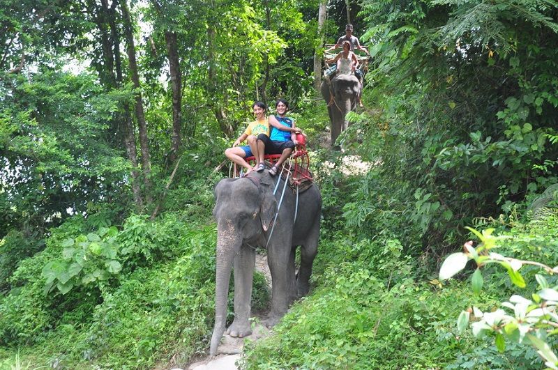 Phuket White Water Rafting Tours