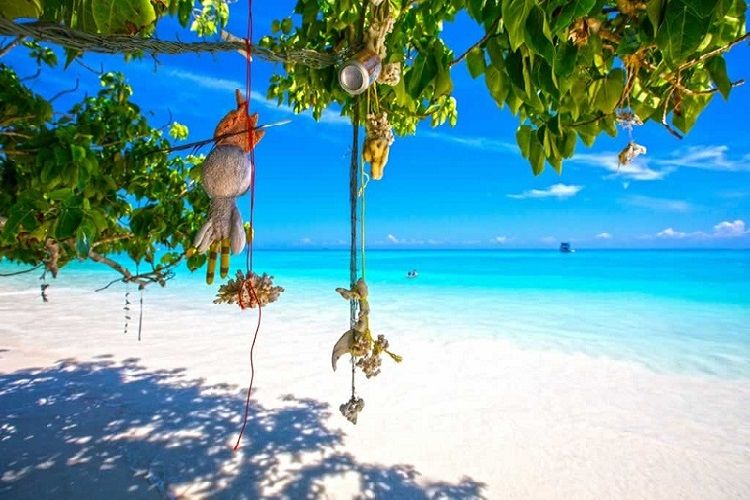 Koh Miang (Island #4)